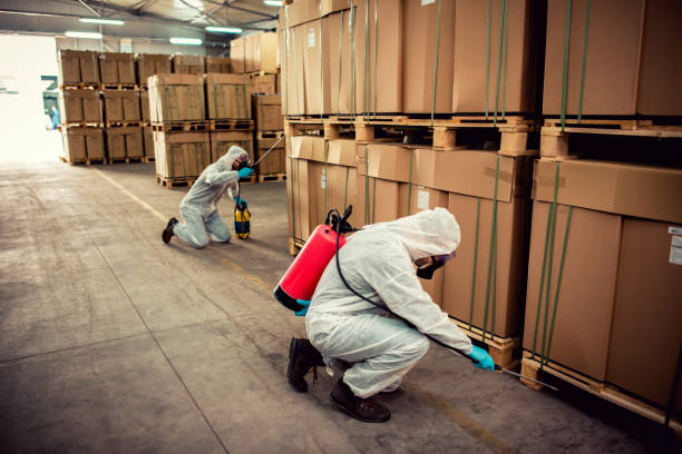 Best Termite Control Services  in Decatur, AL