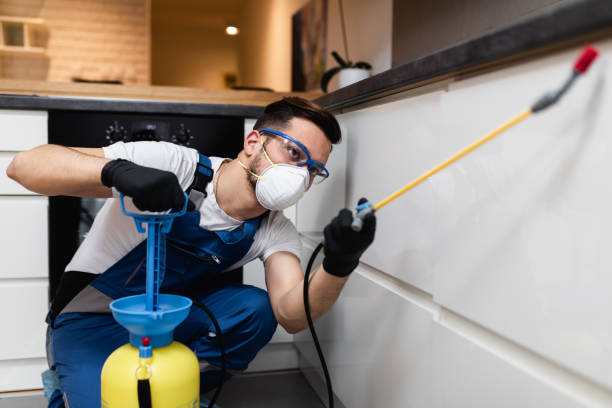 Best Rat Extermination Near Me  in Decatur, AL